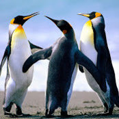 Clelia Valdes's photo