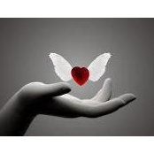 Patty Grigas's photo