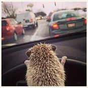 Sarah LS's photo
