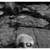 Scott Cressman's photo