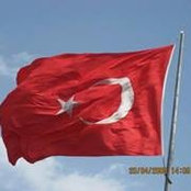 Başak Badurs billede
