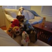 Vanessa Redfield's photo