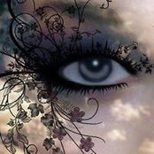 Michelle Devillier's photo