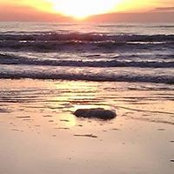 Pam Funk Braciszewski's photo