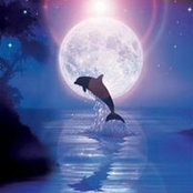 Donald Cole's photo
