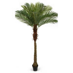 Serene Spaces Living - Serene Spaces Living Areca Palm Tree, 72" - Looking for a getaway but don't have time for one? Then decorate your home with our artificial palm tree that is sure to give a tropical accent to any room. Long trunk with arched leaves gives this faux tree its realistic look and it comes on a small black pot as shown in the image. We recommend pairing it with one of our containers for a more modern look. This artificial areca palm tree is approximately 72-inches high.