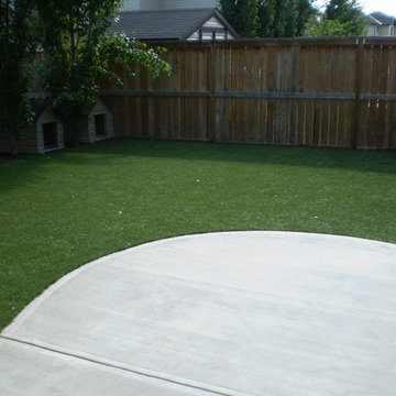 Dog Yards