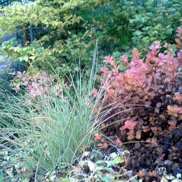 garden design