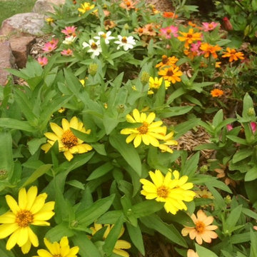 Frisco Landscaping