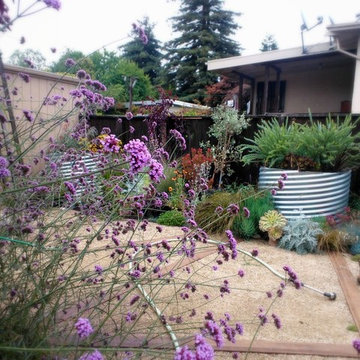 Secret garden in Berkeley