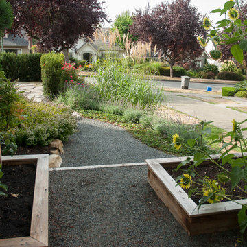 Raised Vegetable Beds