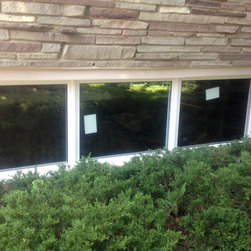 PICTURE WINDOW - Windows