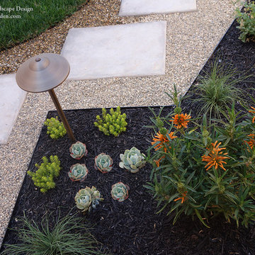 Contemporary Landscape Design for a Narrow Back Yard in Napa, CA