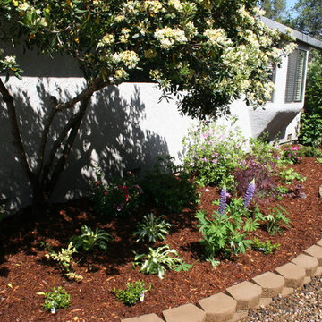 Drip Irrigation Done Right