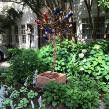 bottle tree