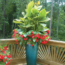 Flowerbeds
