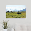 "Yellowstone National Park" Wrapped Canvas Art Print, 30"x20"x1.5"