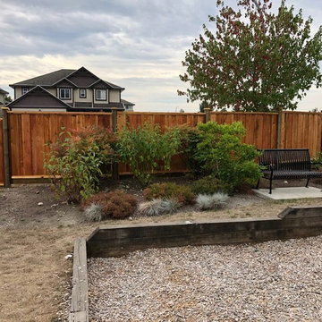 #1 grade cedar overlap board panels + pre stain 200+ linear feet