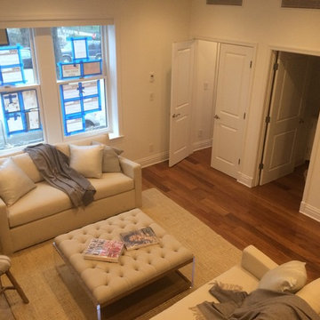 EEA town house high end painting