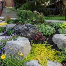 Fox Island Side Yard