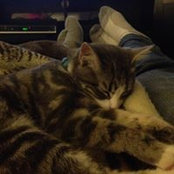 Michelle Wilson's photo