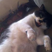 Heidi Barfuss's photo
