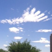 Edie Fleitman's photo