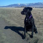 Prue Smiths foto