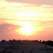 Roxann Weirsky's photo