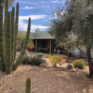 Wittmann AZ. exterior paint consultation