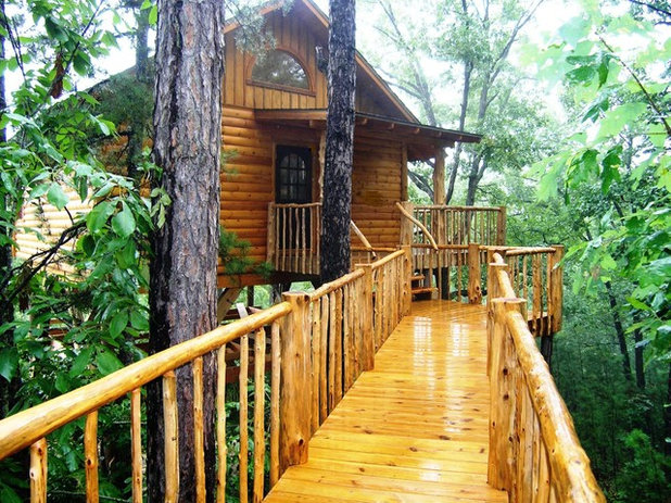9 Treehouse Lodges, Hotels, B&Bs and more!