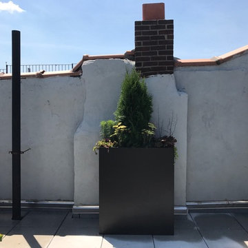 583 Franklin - Citi Habitats