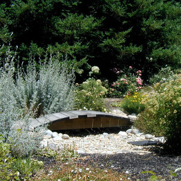Drought Tolerant Landscape