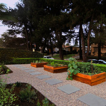 Garden Ideas