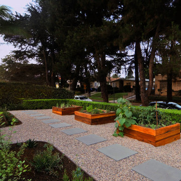 Vegetable garden planter boxes & Drought-tolerant landscape