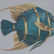 kuvat