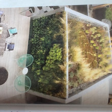 landscape ideas