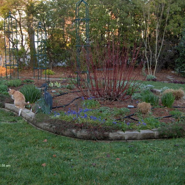 Garden Designs