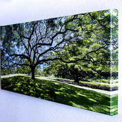 Gallery Wrap Canvas Giclee - Photographs
