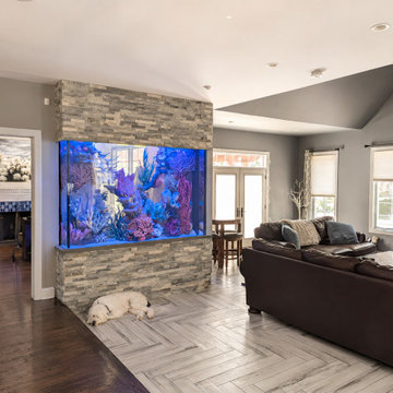Custom Built-In Saltwater Aquarium in Huntingdon Valley, PA