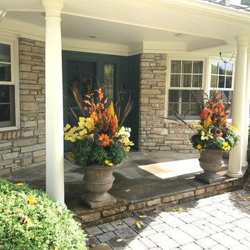 Edina Fall Annuals
