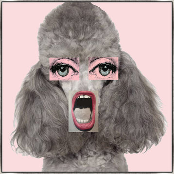 24x24 Pink Poodle Mouth, Framed Artwork, Silver