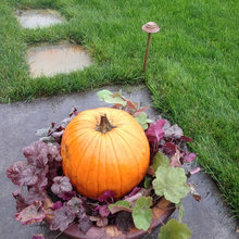 Fall Potted Plants