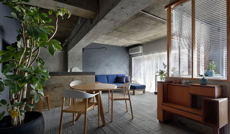 Houzz Tour: This Home Favours Shadows Over Light