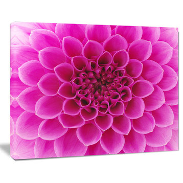 Large Pink Flower and Petals, Floral Canvas Art Print, 40"x30"