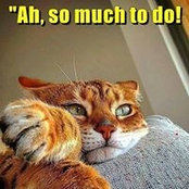 Ady Stewart's photo