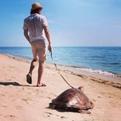 Martin Krediet's photo