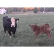 Kathy Jordan's photo