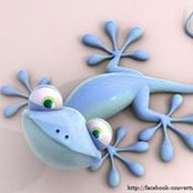 Christine Corvasce's photo
