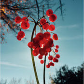 Bryn Donaldson's photo